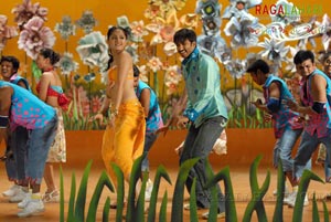 Gopichand, Anushka