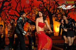 Gopichand, Anushka