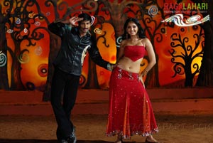 Gopichand, Anushka