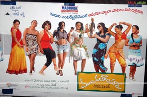 Mangatayaru Tiffin Center Audio Release