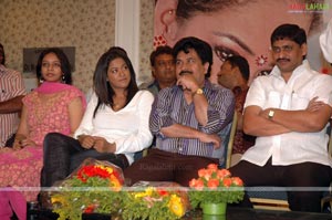 Mangatayaru Tiffin Center Audio Release