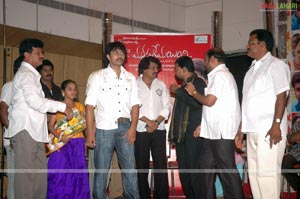 Naa Manasukemayyindi Audio Release