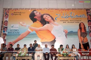 Naa Manasukemayyindi Audio Release