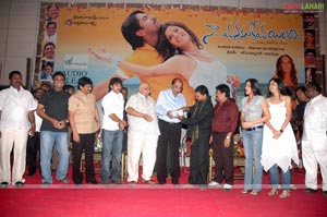 Naa Manasukemayyindi Audio Release