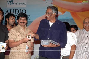 Naa Manasukemayyindi Audio Release