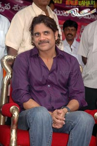 Nagarjuna Birthday 2007 Celebrations