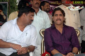 Nagarjuna Birthday 2007 Celebrations