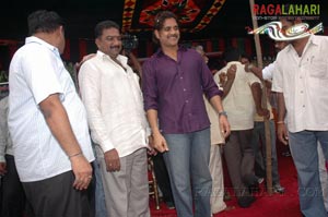 Nagarjuna Birthday 2007 Celebrations