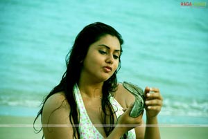 Namitha Photo Gallery/Wallpapers