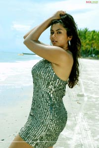 Namitha Photo Gallery/Wallpapers