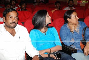 Navavasantham Platinum Disc Function