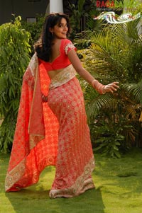 Neha Jhulka From Viyyalavaari Kayyalu