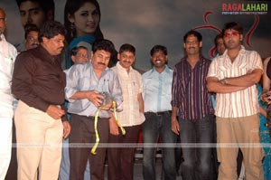 Nestama Audio Release