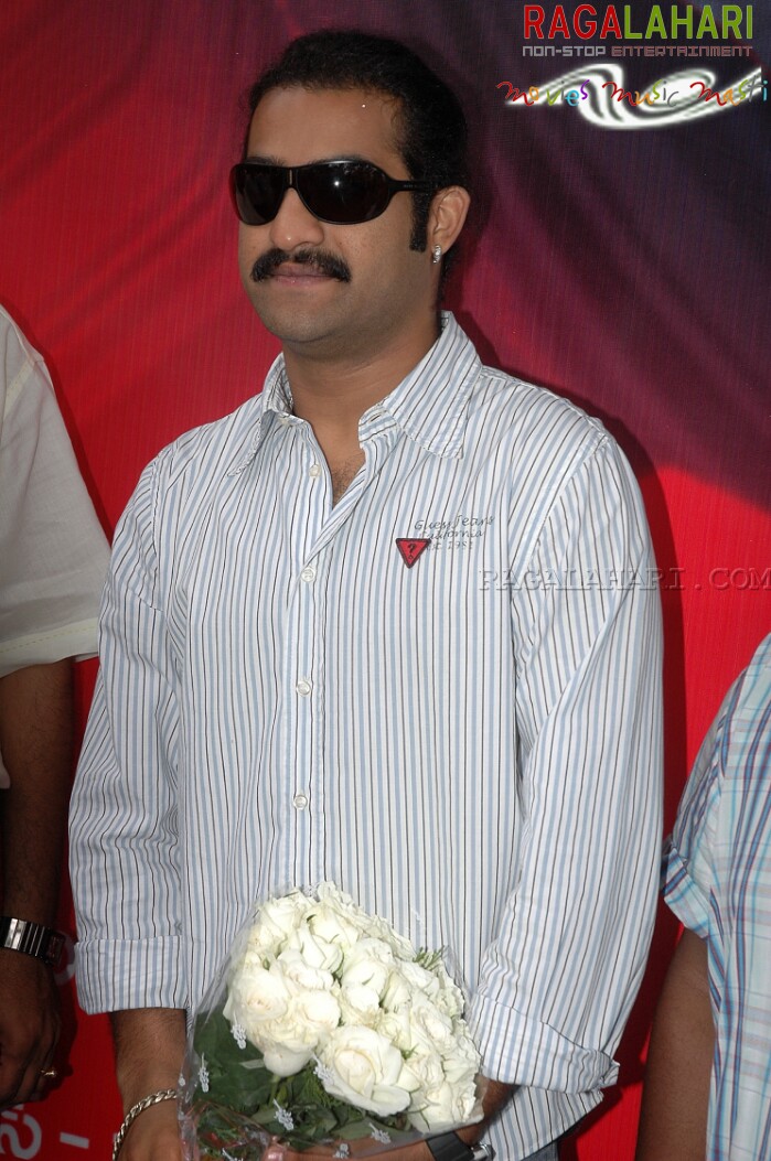 NTR Latest Photo Gallery, Expressions