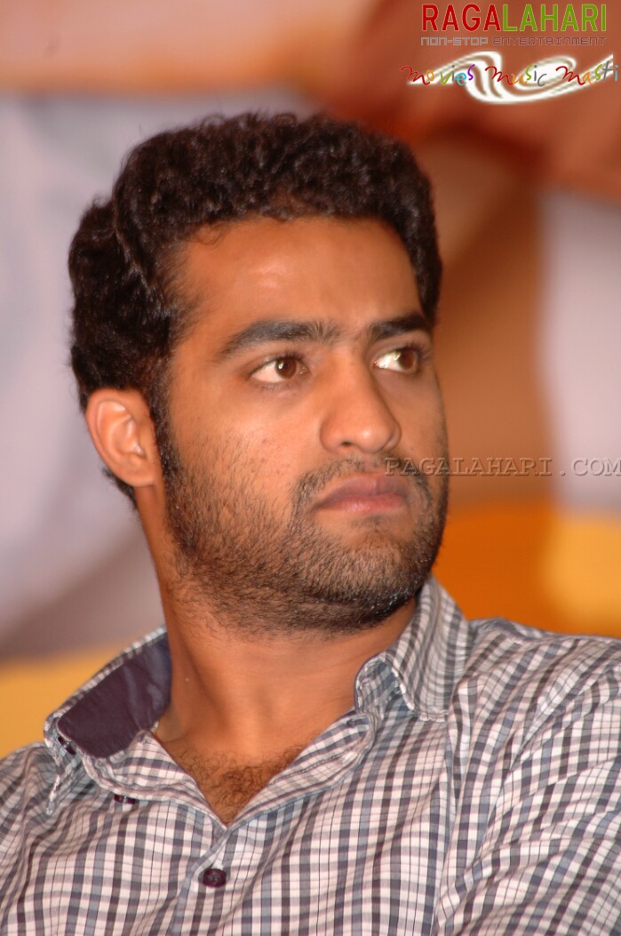 NTR Latest Photo Gallery