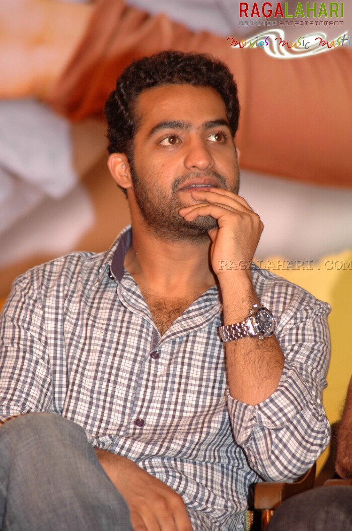 NTR Latest Photo Gallery