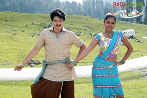 Allari Naresh, Hareesh, Kamalini Mukherji