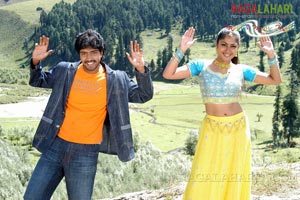 Allari Naresh, Hareesh, Kamalini Mukherji