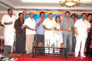 Pellayyindi Kaani Audio Release