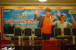 Pellayyindi Kaani Audio Release