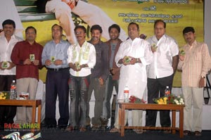 Podarillu Audio Release