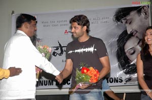 Pourudu Platinum Disc Function