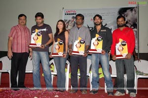 Pourudu Platinum Disc Function