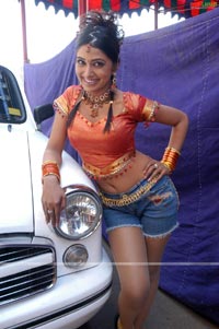 Priyanka at Premabhishekam Sets