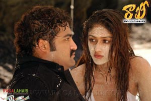 NTR, Ileana, Charmi