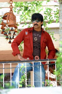 Raviteja in Krishna