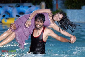 Allari Naresh, Jagapathi Babu, Gowri Munjal & Aarti Chabriya