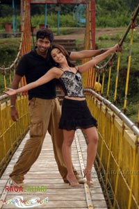 Allari Naresh, Jagapathi Babu, Gowri Munjal & Aarti Chabriya