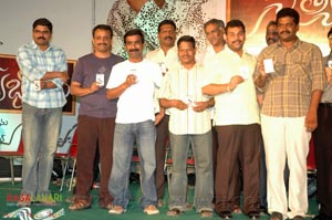 Satyabhama Audio Release