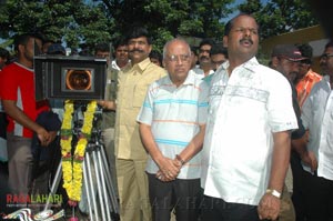 Srihari-Raja Film Muhurat