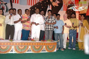 State Rowdy Audio Release