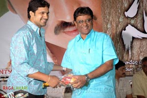 Sunny Audio Release