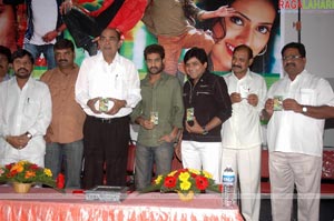 TPT Audio Release