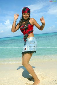 Trisha in Krishna