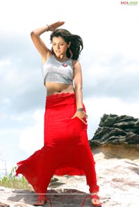 Trisha Krishnan