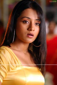 Trisha in Krishna