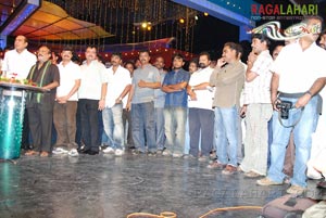 Tulasi Audio Release