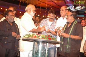 Tulasi Audio Release