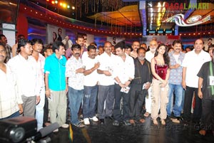 Tulasi Audio Release