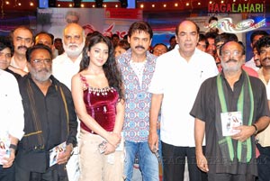 Tulasi Audio Release