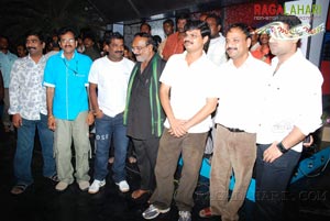 Tulasi Audio Release