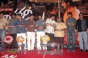 Vihaari Audio Release