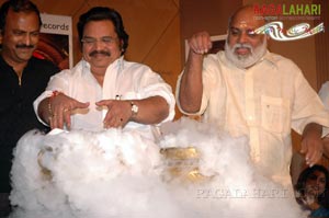 Yama Donga Audio Release