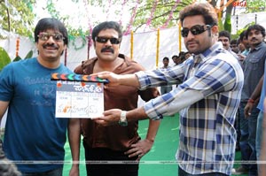 Don Seenu Muhurat