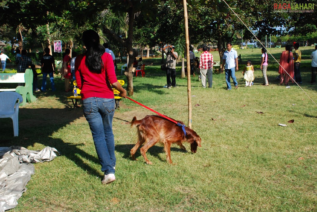 Pet Show 2010, Vuda Park, Visakhapatnam