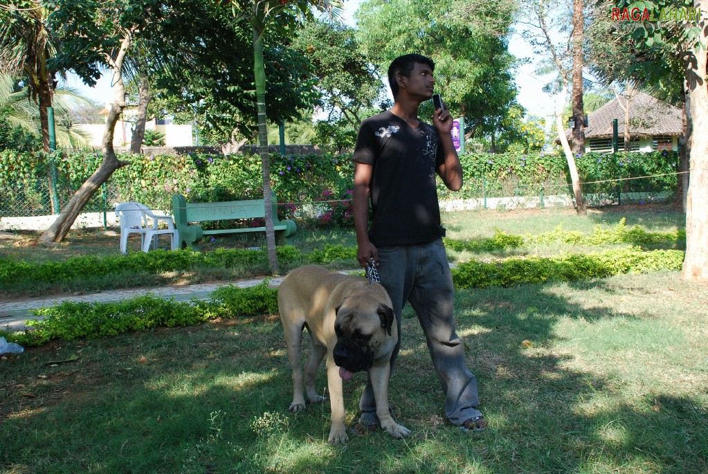 Pet Show 2010, Vuda Park, Visakhapatnam